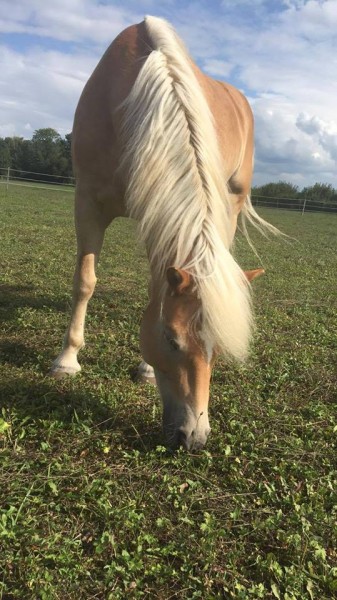 Photo de profil de texane67