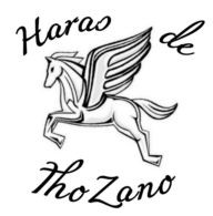 Photo de profil de thozano