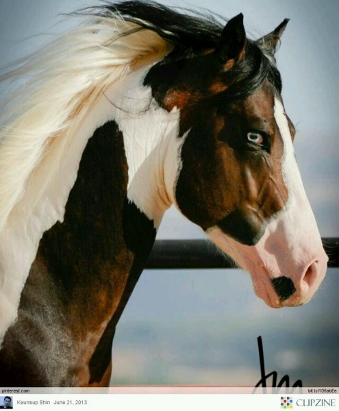 Photo de profil de tiaremajument