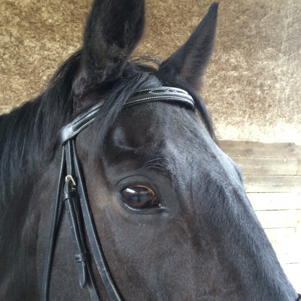 Photo de profil de ticktock