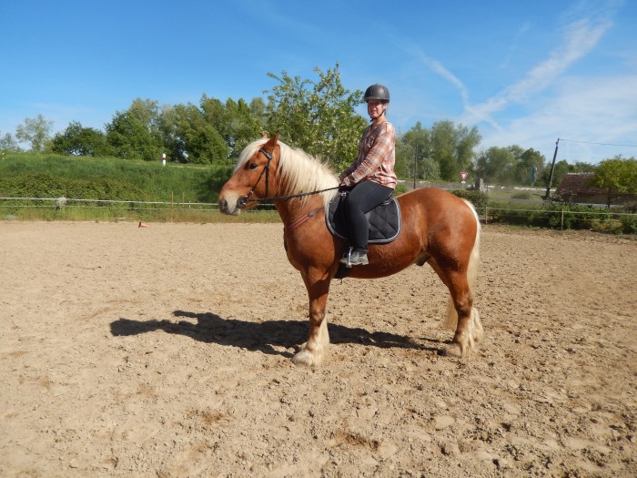 Photo de profil de titelf