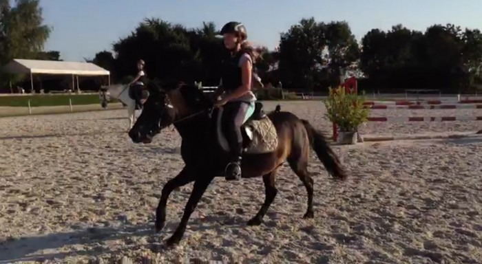 Photo de profil de torpille.teach