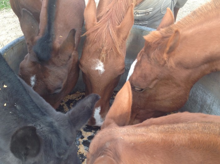 Photo de profil de toscan2620