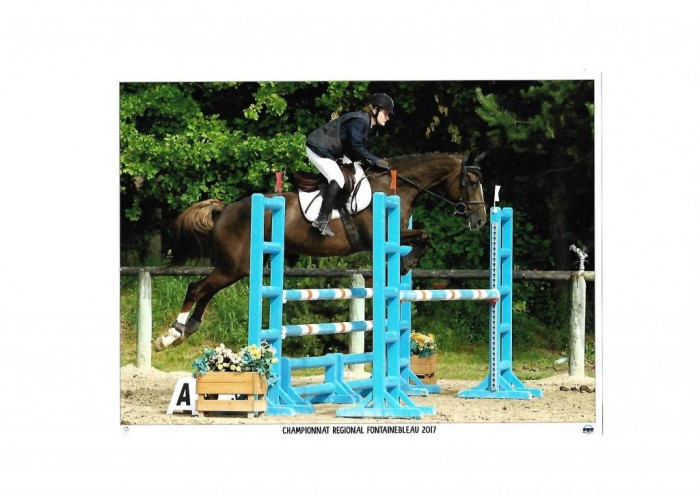 Photo de profil de ucla