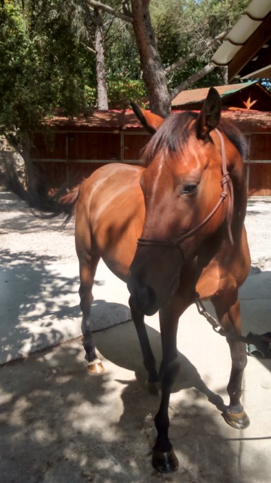 Photo de profil de ucykl