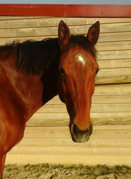 Photo de profil de uju67