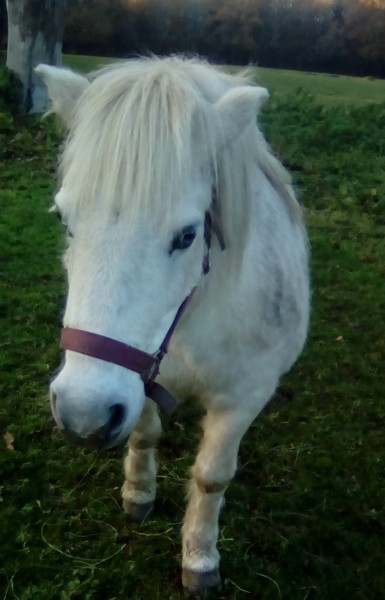 Photo de profil de ulane56