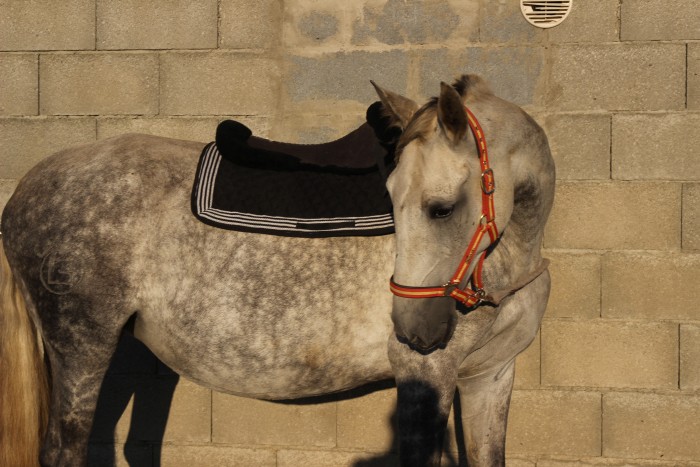 Photo de profil de unshi
