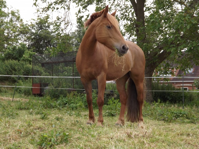 Photo de profil de urianetazou