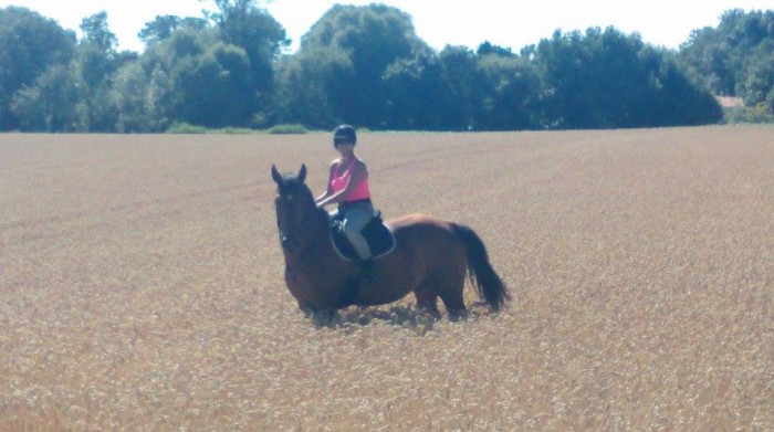 Photo de profil de utah17220