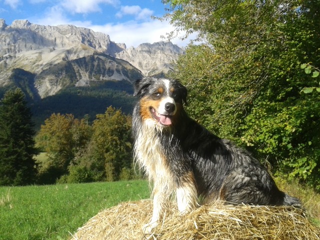 Photo de profil de valpas005