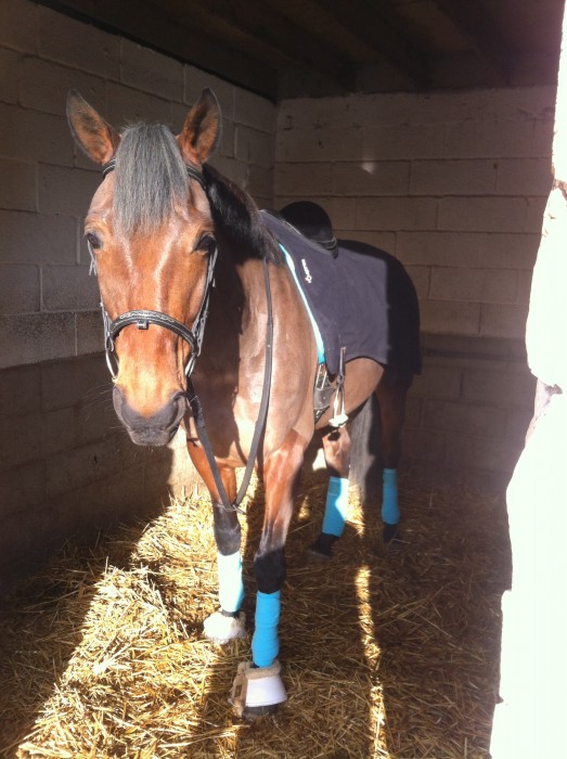 Photo de profil de vastor