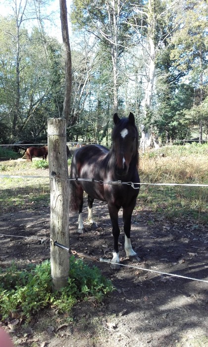 Photo de profil de venise_bilbo