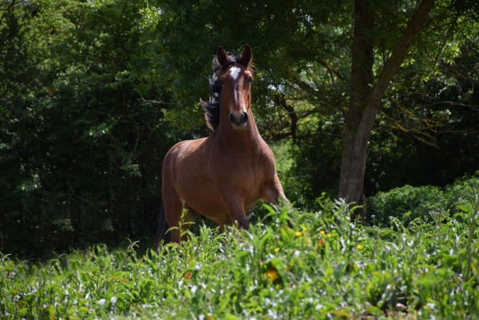 Photo de profil de venusfreya