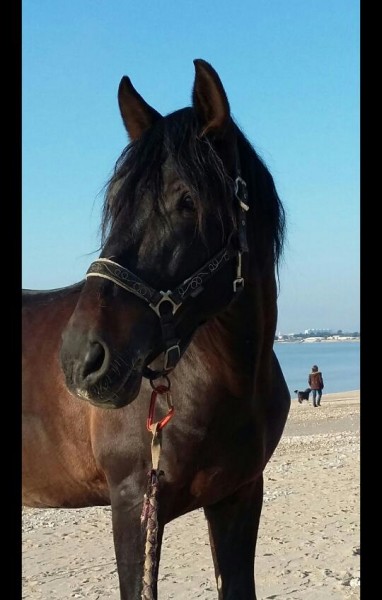 Photo de profil de veroniquemartin