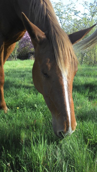 Photo de profil de vicky19