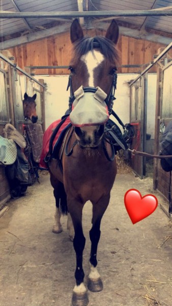 Photo de profil de victoria42