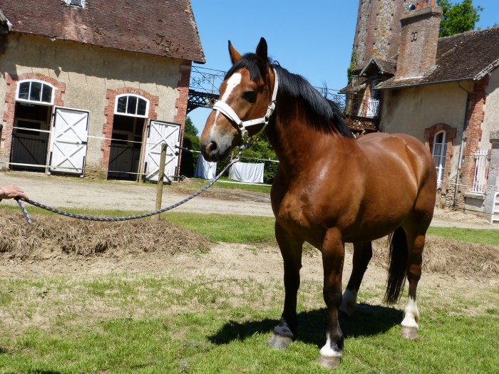 Photo de profil de villy