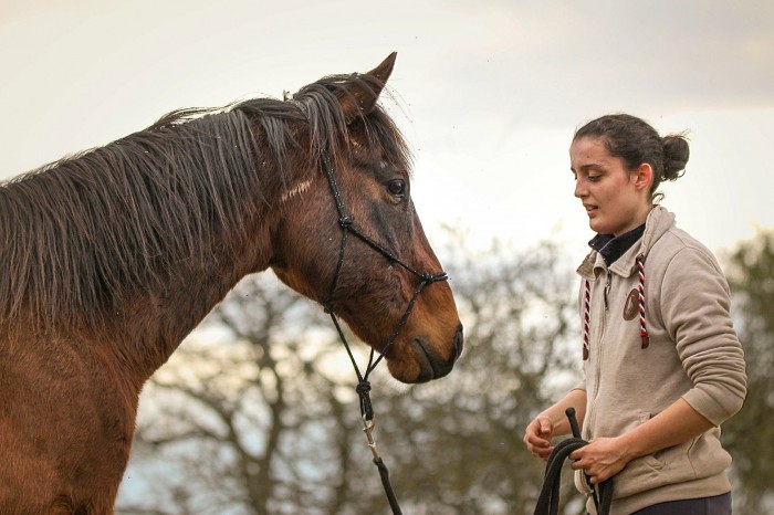 Photo de profil de virtuoselights