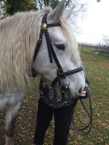 Photo de profil de voltige59