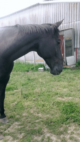 Photo de profil de voydydy