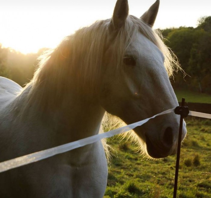 Photo de profil de vuliette