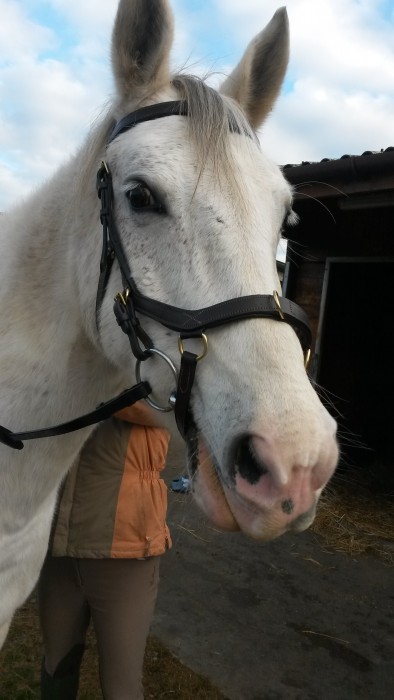 Photo de profil de wayanne