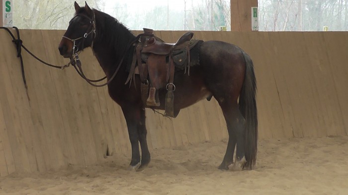 Photo de profil de western37