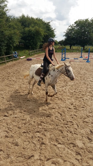 Photo de profil de wild_appaloosa