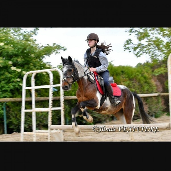 Photo de profil de wilder