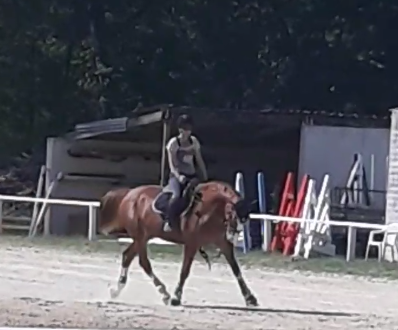 Photo de profil de xaudreii