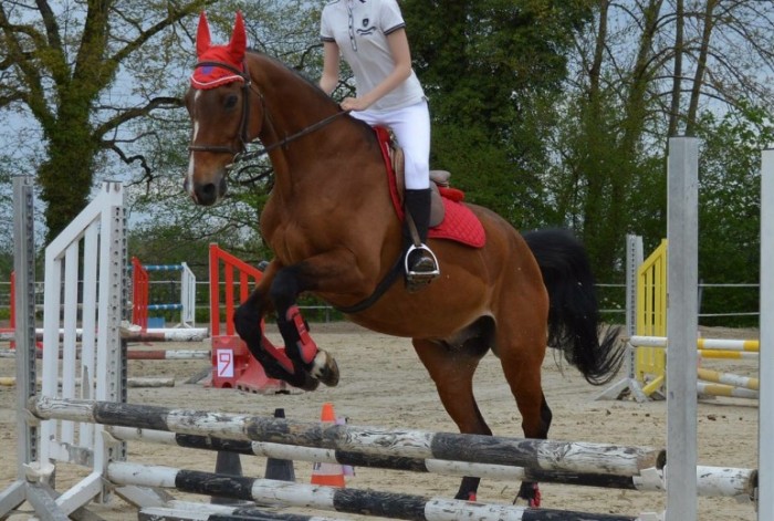 Photo de profil de yolande74