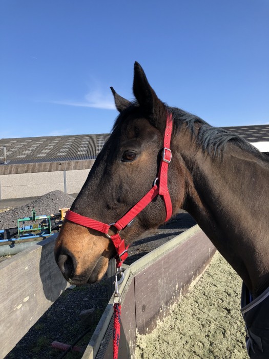 Photo de profil de yrilloiseau5915