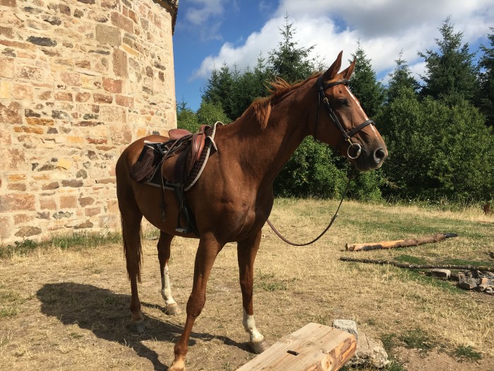 Photo de profil de ysaza