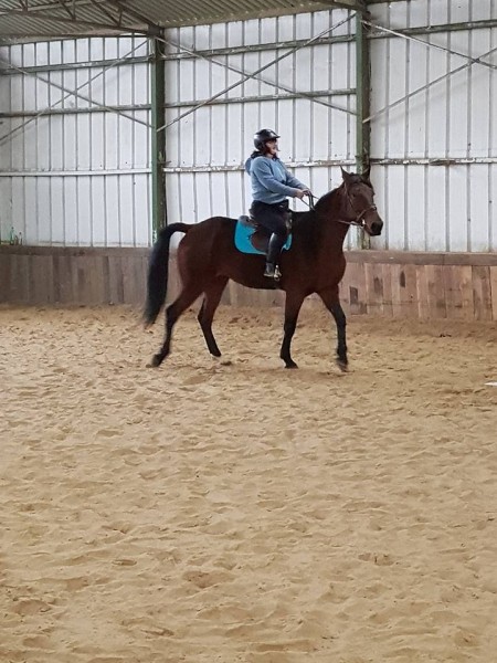 Photo de profil de ystik6666