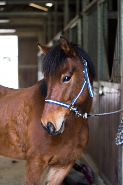 Photo de profil de yukonroses