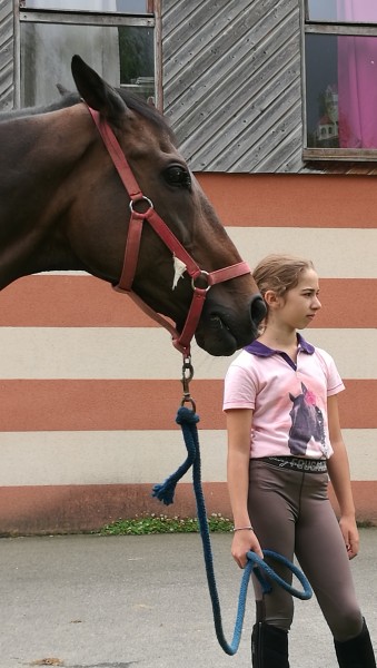 Photo de profil de zavalou