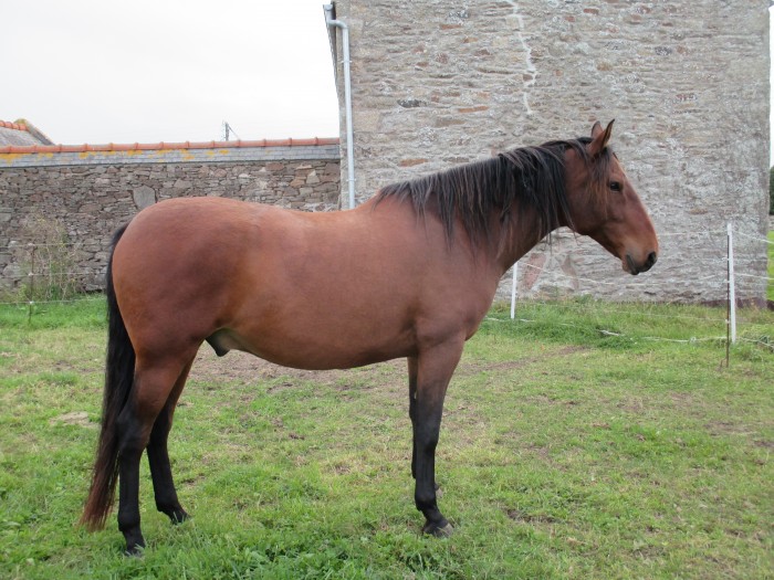Photo de profil de zaza29