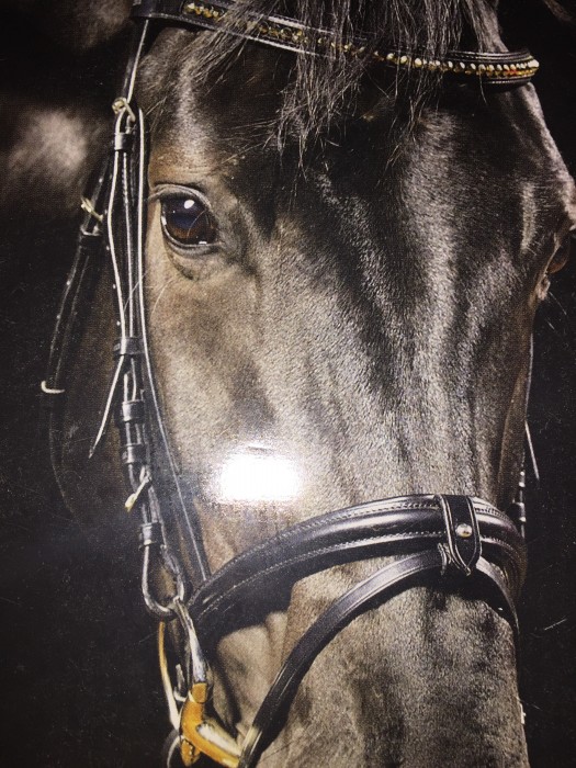 Photo de profil de zeliha_chpg