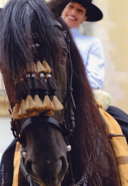 Photo de profil de zingarita