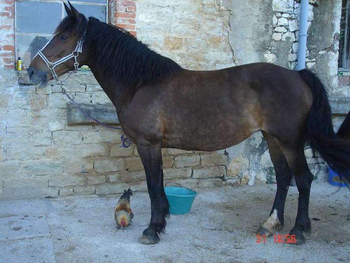 Photo de profil de alisea689