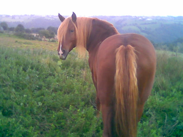 Photo de profil de boboxpassion