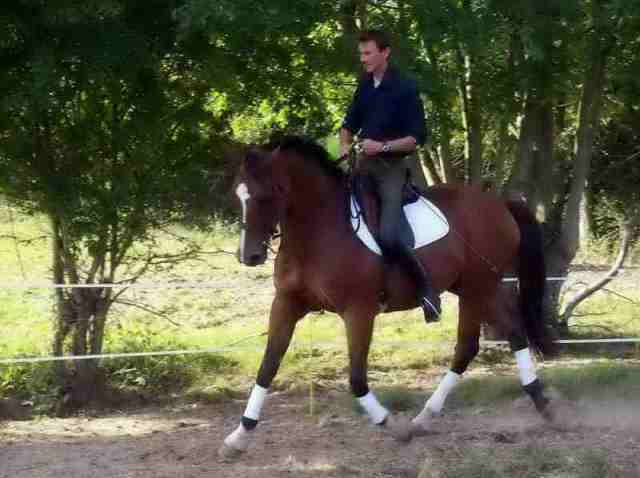 Photo de profil de brubal