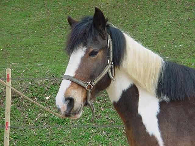 Photo de profil de cannalove