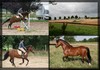 Photo de profil de caprysses