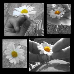 Photo de profil de ceriizz39