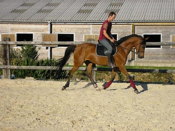 Photo de profil de claps