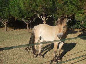 Photo de profil de clarabelle