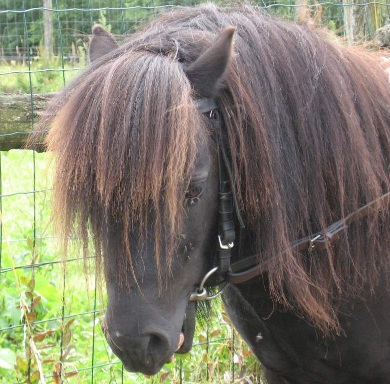 Photo de profil de clochette49