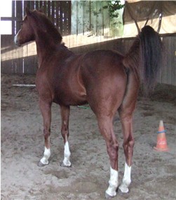 Photo de profil de contact_luc